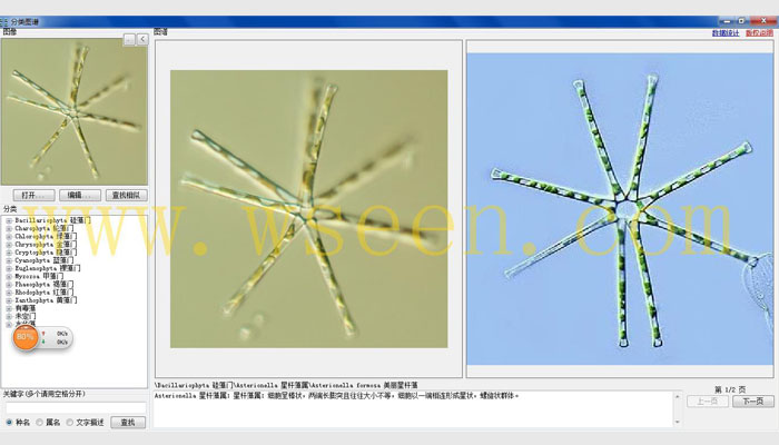 AlgaeC型浮游生物智能鑒定計(jì)數(shù)儀,藻類分析儀,藻類計(jì)數(shù)儀