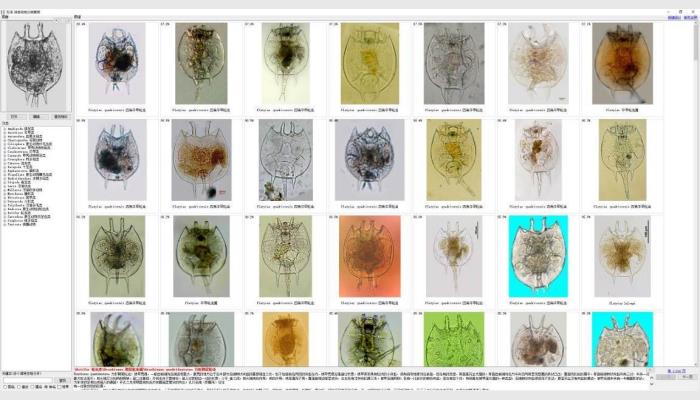 AlgaeC型浮游生物智能鑒定計(jì)數(shù)儀,藻類分析儀,藻類計(jì)數(shù)儀