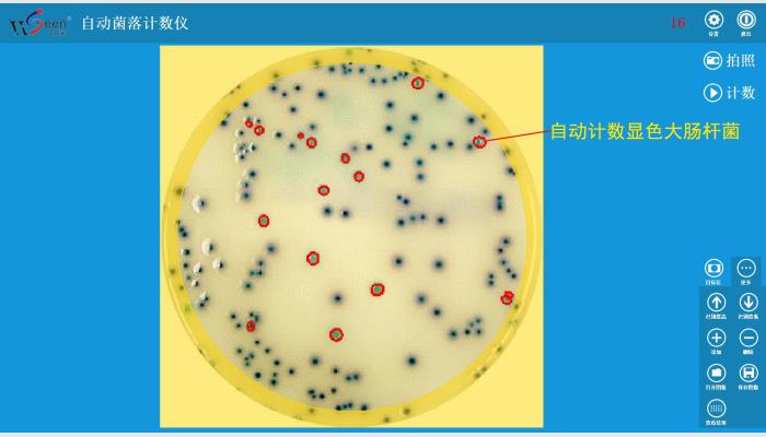 HiCC-B1 automatic colony counter,自動菌落計數儀,菌落計數器